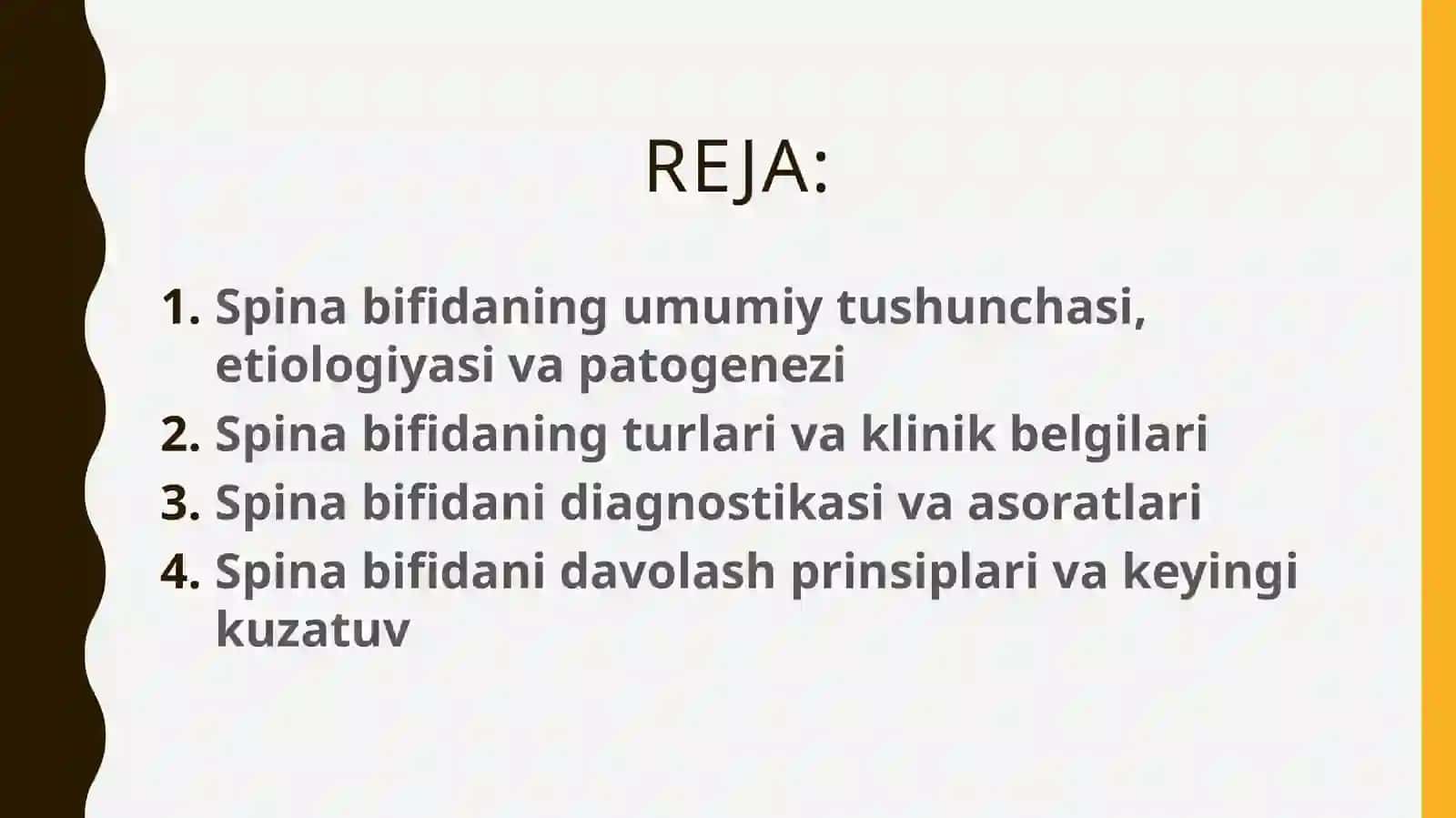 Spina bifida 2