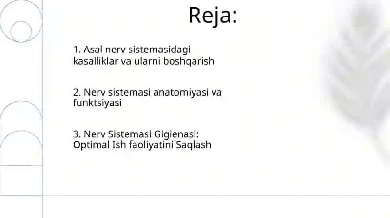 Nerv tizimining xususiy fiziologiyasi va gigiyenasi 2