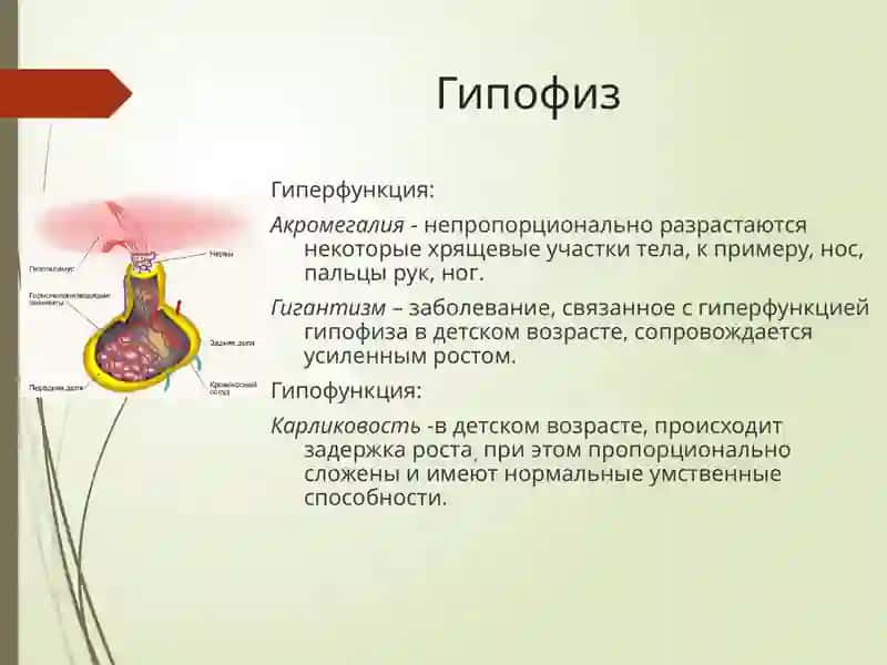 Эндокринной болезни 2