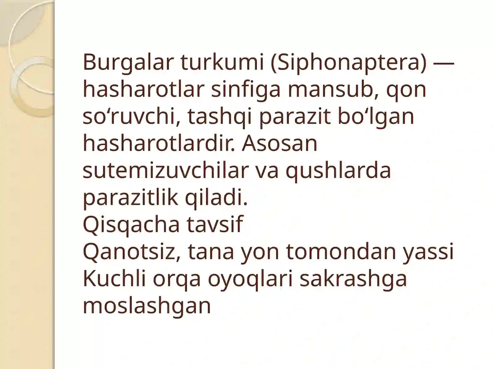BURGALAR TURKUMI 2