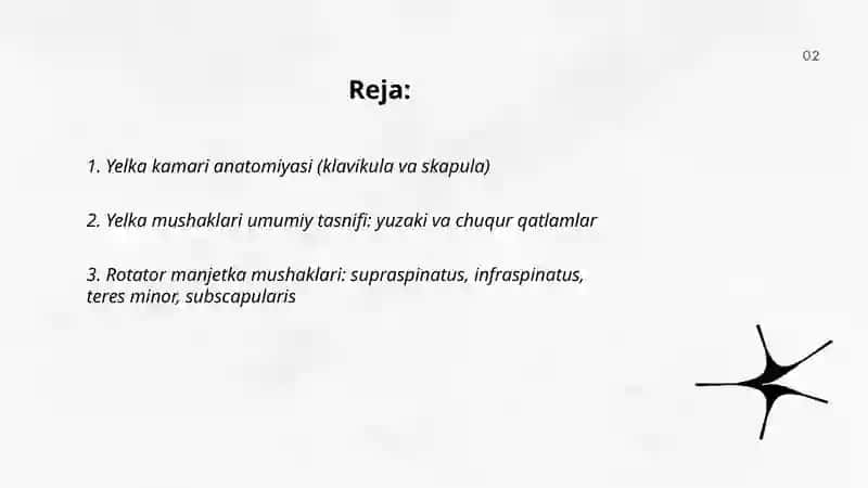 Yelka _kamari va yelka mushaklari 2