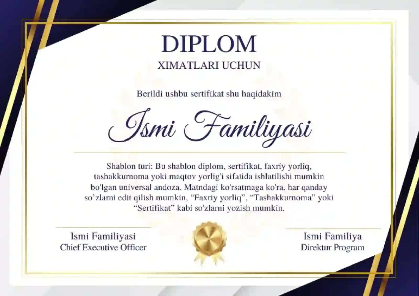 DIPLOM 2