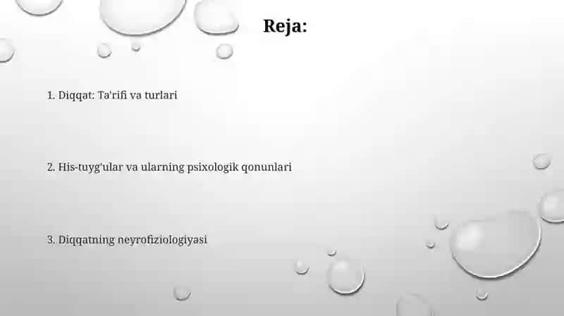 Diqqatning neyrofiziologiyasi 2