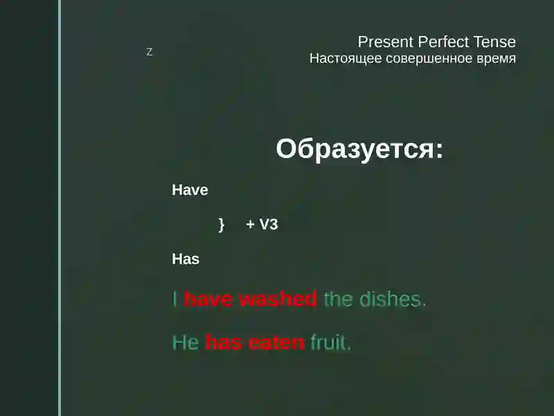 Present Perfect Tense 2