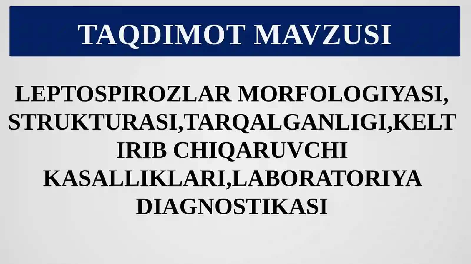 Leptospirozlar morfolojiyasi, strukturasi, tarqalganligi, keltirib chiqaruvchi kasalliklari, laboratoriya diagnostikasi 2