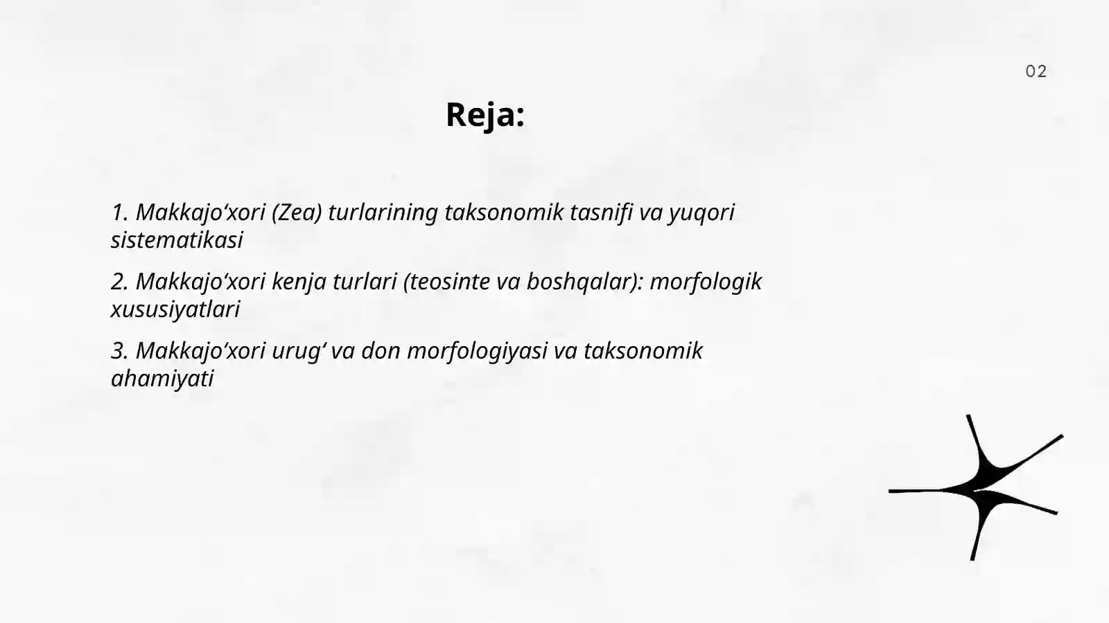 Makkajoʻxori kenja turlari va yuqori sistematikasi, morfologiyasi,sholi oʻsimligi sistematikasi morfologiyasi 2