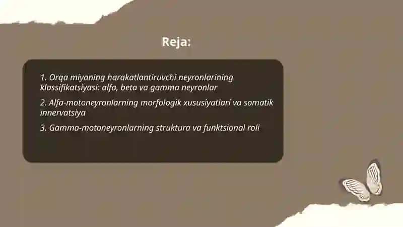 Orqa miyaning harakatlantiruvchi neyronlar turlari va ularning morfofunksional xususiyatlari 2