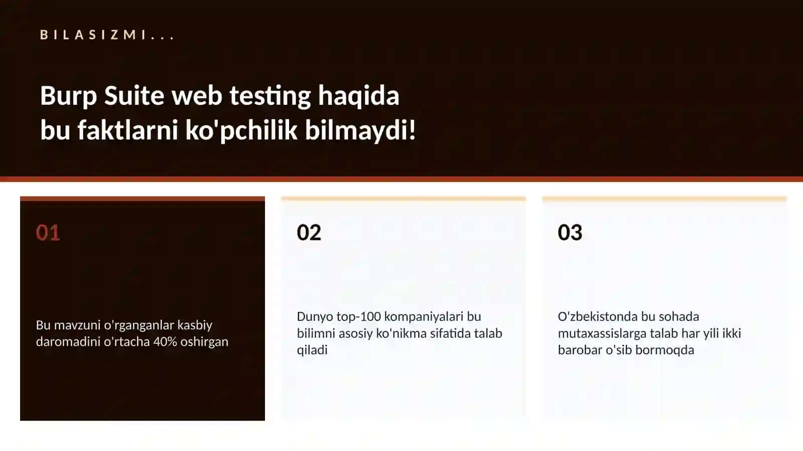 Burp Suite web testing 2