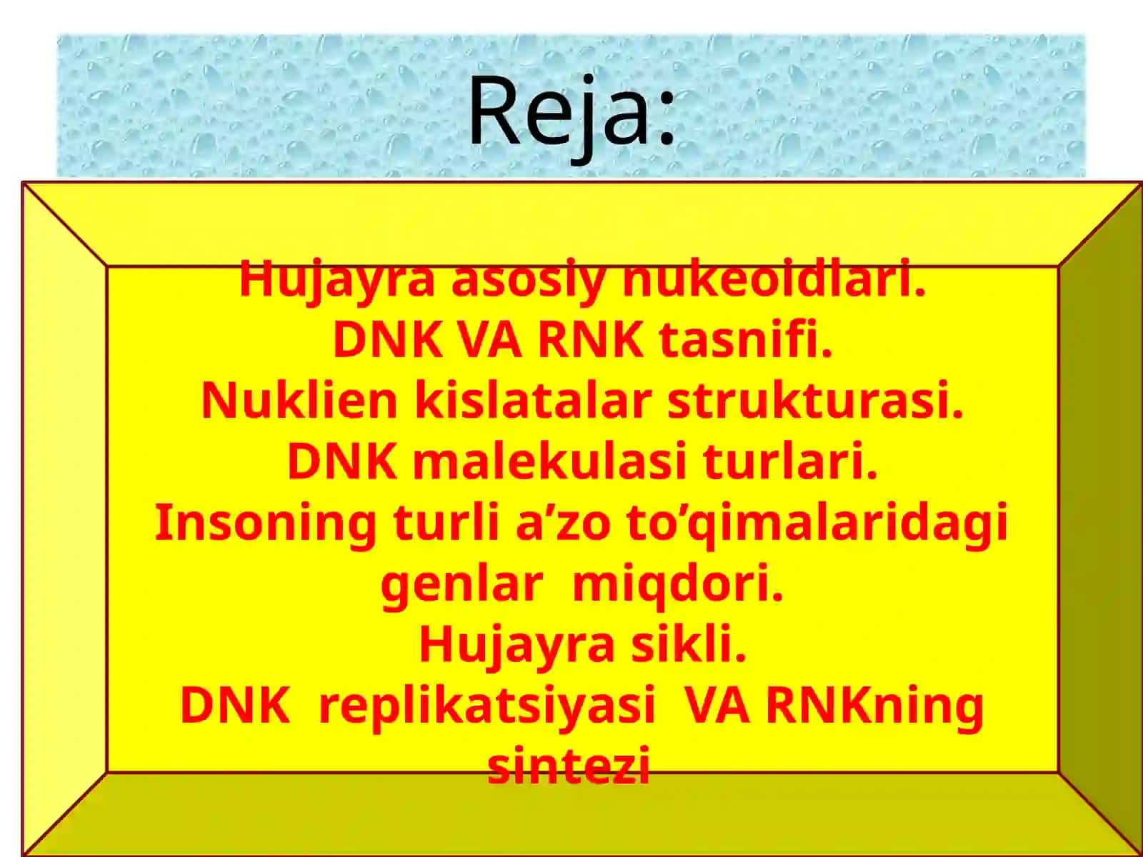 Abdullayeva Ra’noxonning Biokimyofanidan Nukleinkislotalar DNK va RNK’’ mavzusidatayyorlagan Taqdimoti 2