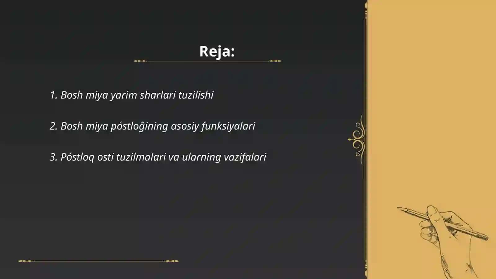 Bosh miya yarim sharlari tuzilishi 2