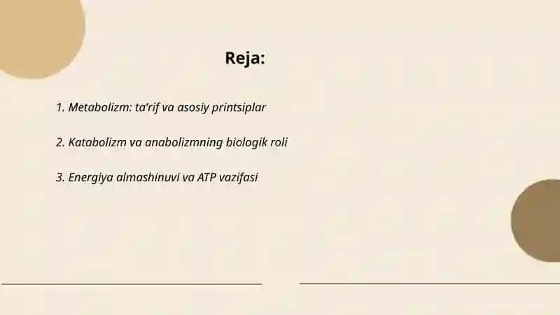 Metabolizm 2