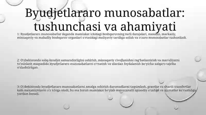 Byudjetlararo Munosabatlarni Tashkil Etish Va Undan Foydalanish Bo'Yicha Xalqaro Tajriba 2