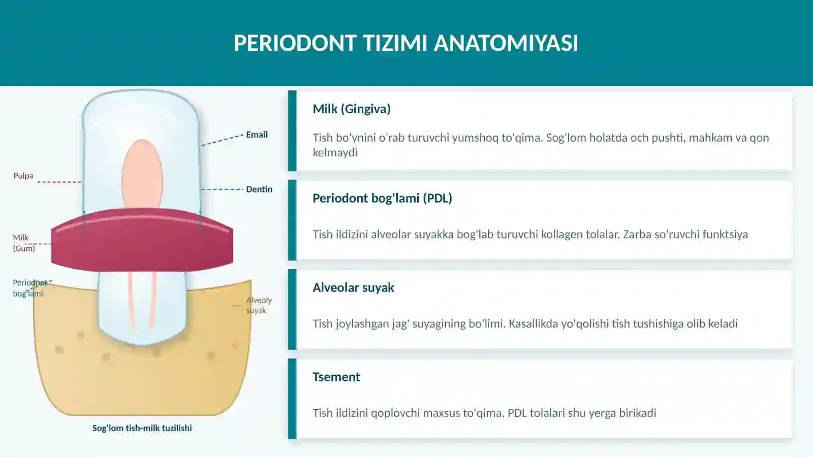 MILK KASALLIKLARI VA DAVOLASH 2
