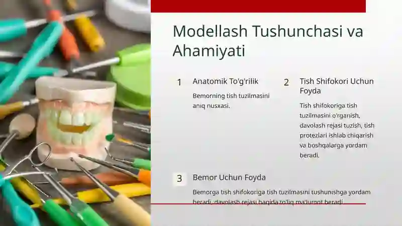Stomatologiyada Modellar 2