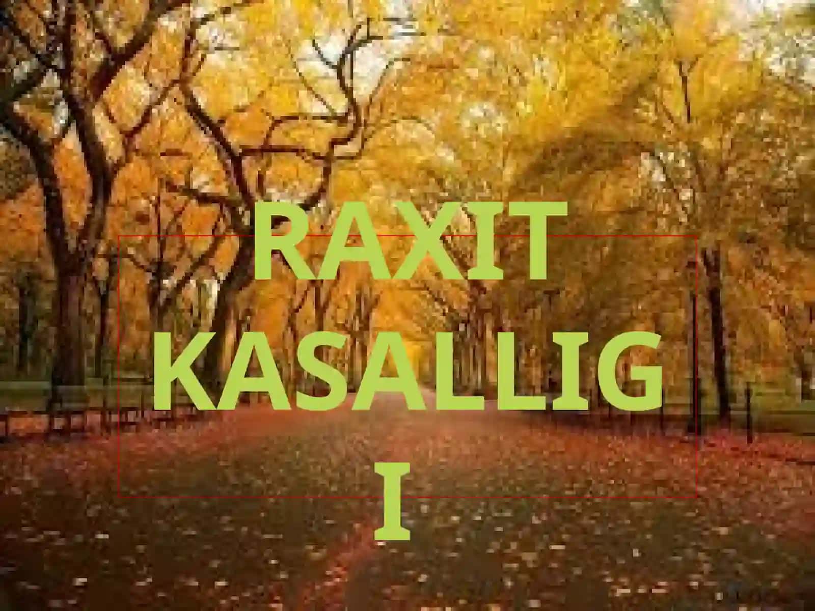 raxit kasalligini davolash 2