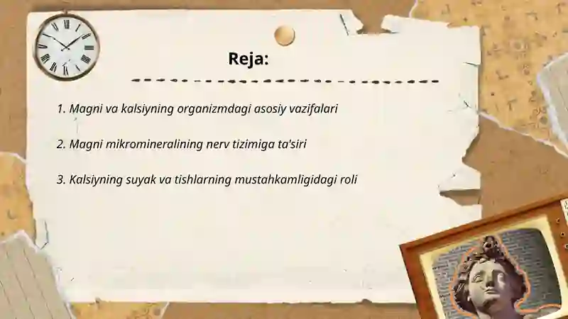 Magni kalsiy ruh organizmdagi ahamiyati 2