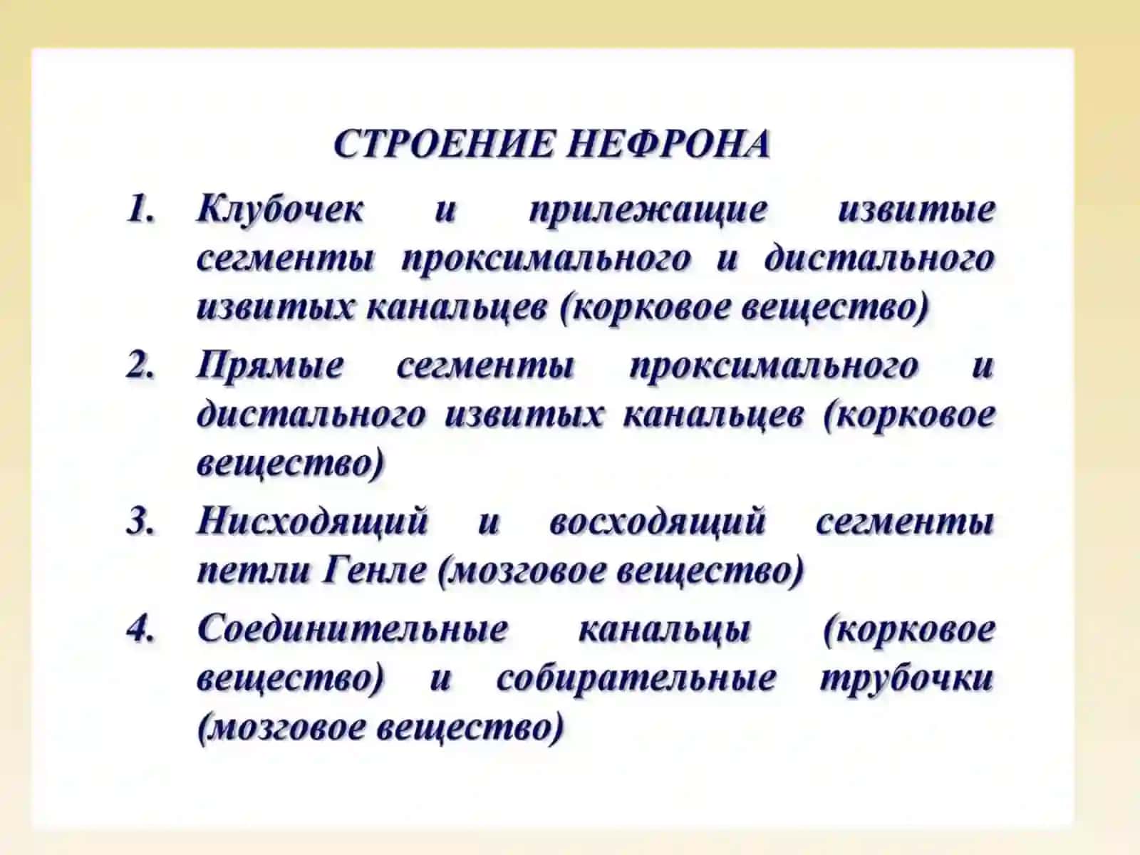 Патология почек 2