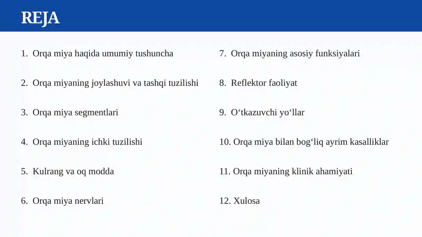 ORQA MIYA 2