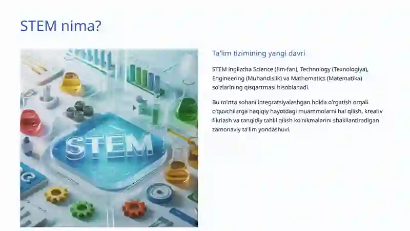 STEM Ta'limi 2