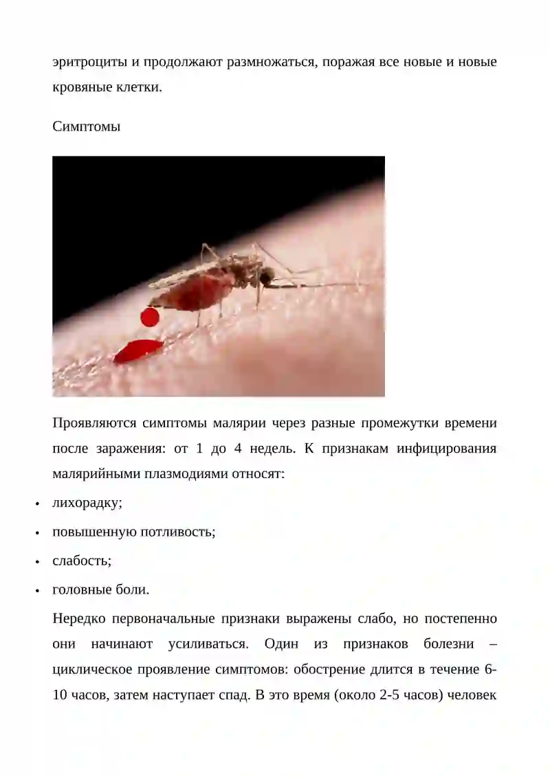 Малярия 2