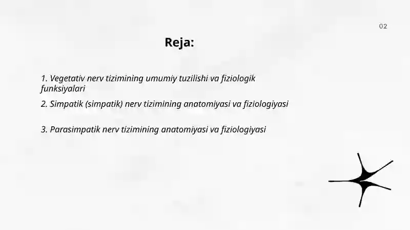 Vegetativ nerv tizimining asosiy qismlari fiziologiyasi 2