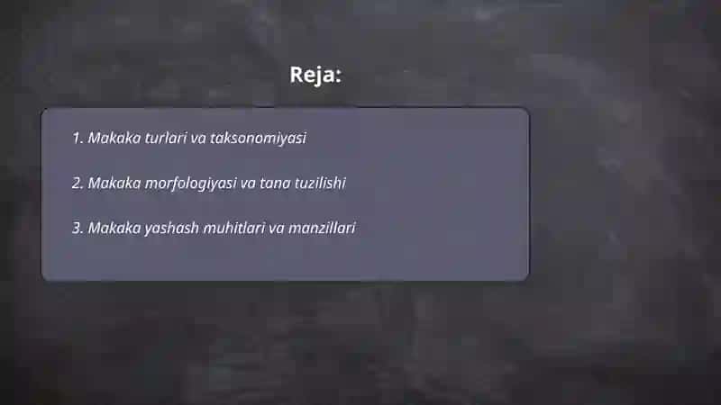 Makaka 2