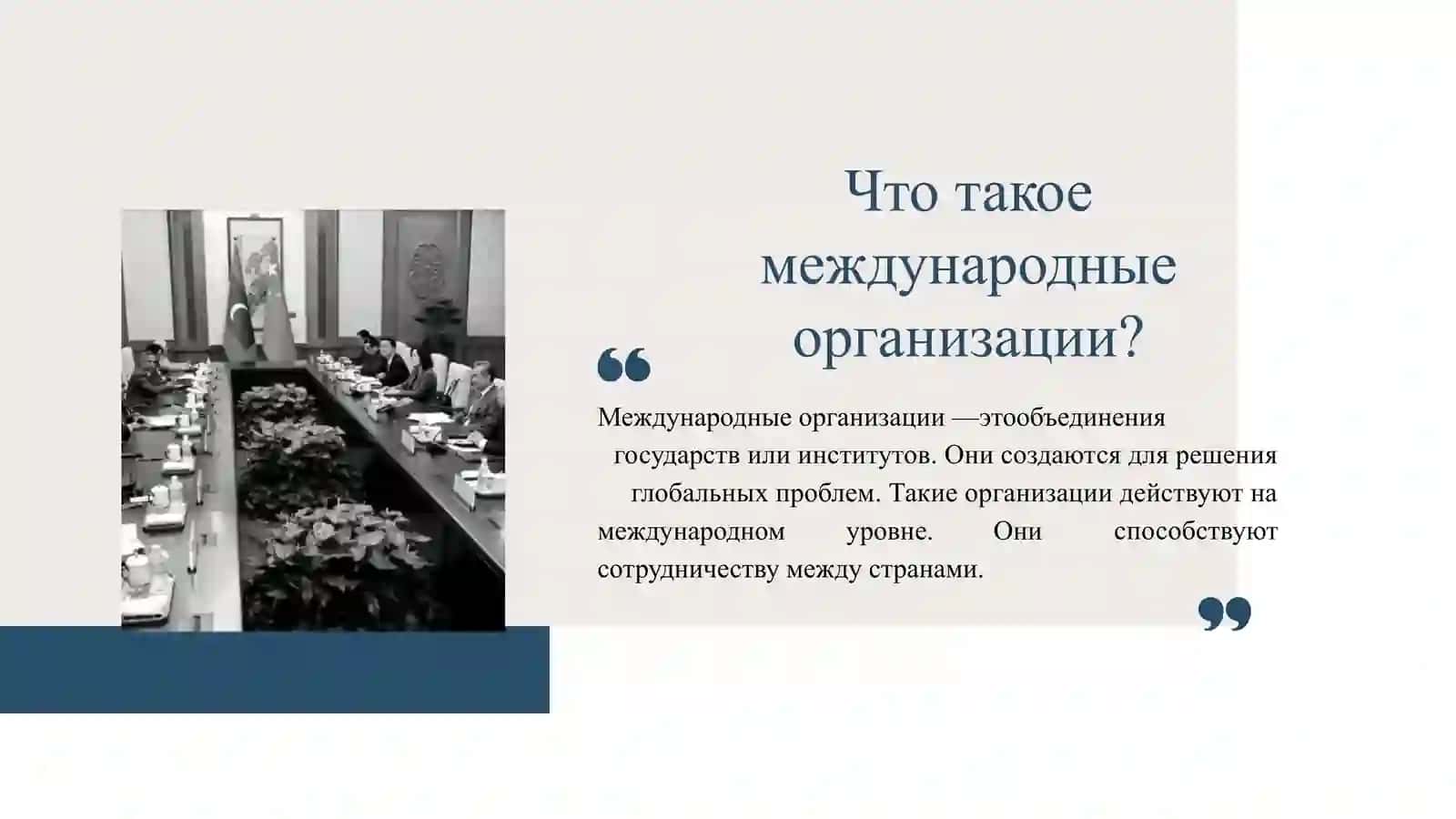 МЕЖДУНАРОДНЫЕ ОРГАНИЗАЦИИ 2