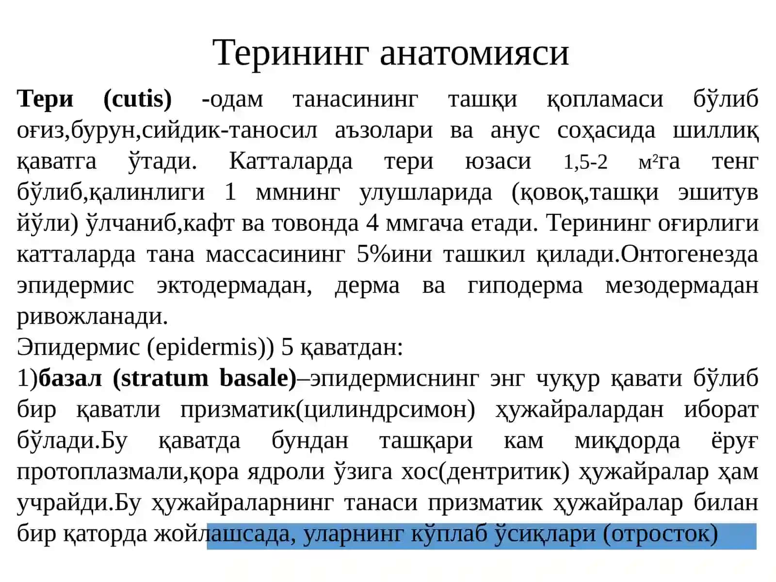 ТЕРИ РАКИ 2
