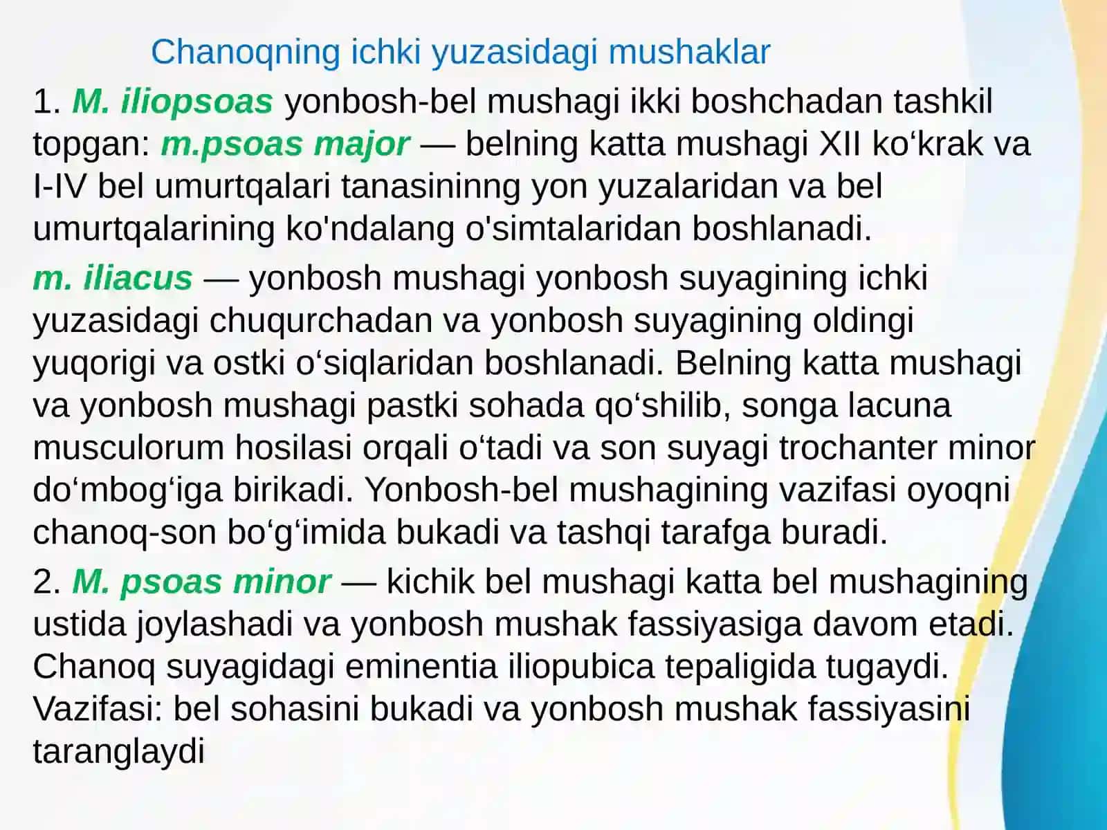Boldir sohasining va oyoq panjasining mushaklari va fassiyalari. Oyoq sohasining topografiyasi 2