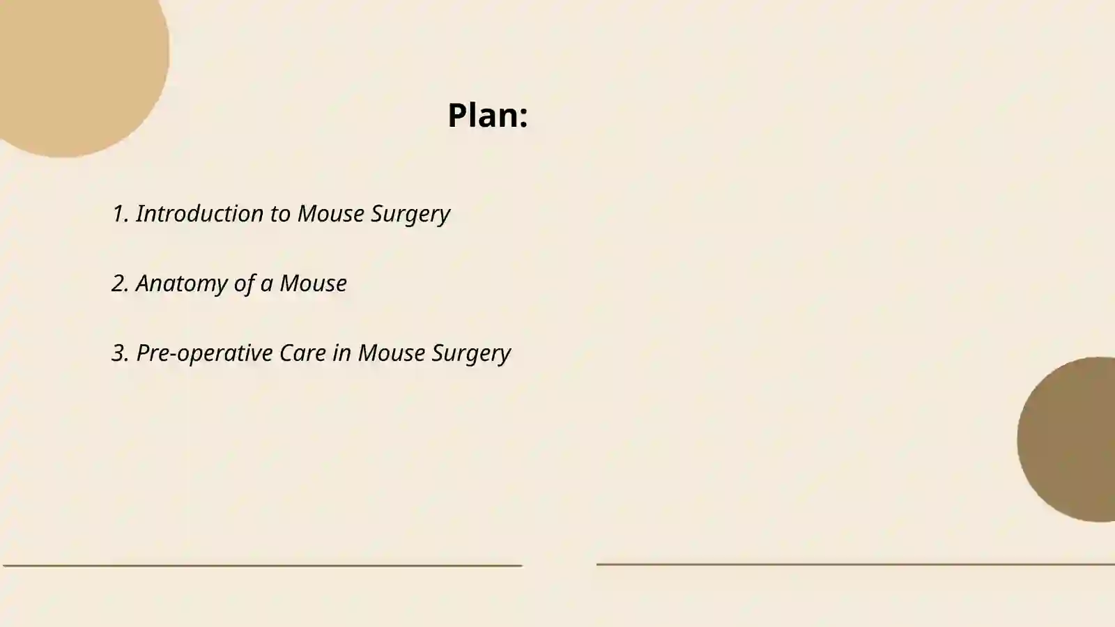 Mause surgery 2