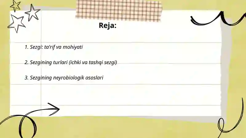 Sezgi 2