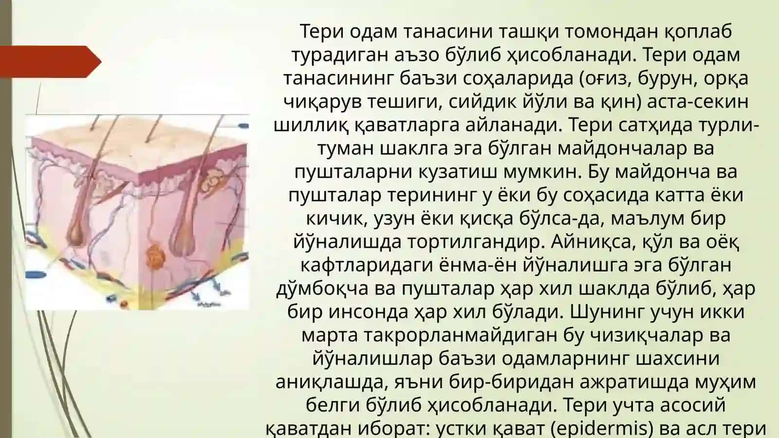 Terining umumiy patologiyasi. Birlamchi va ikkilamchi morfologik toshma elementlari 2