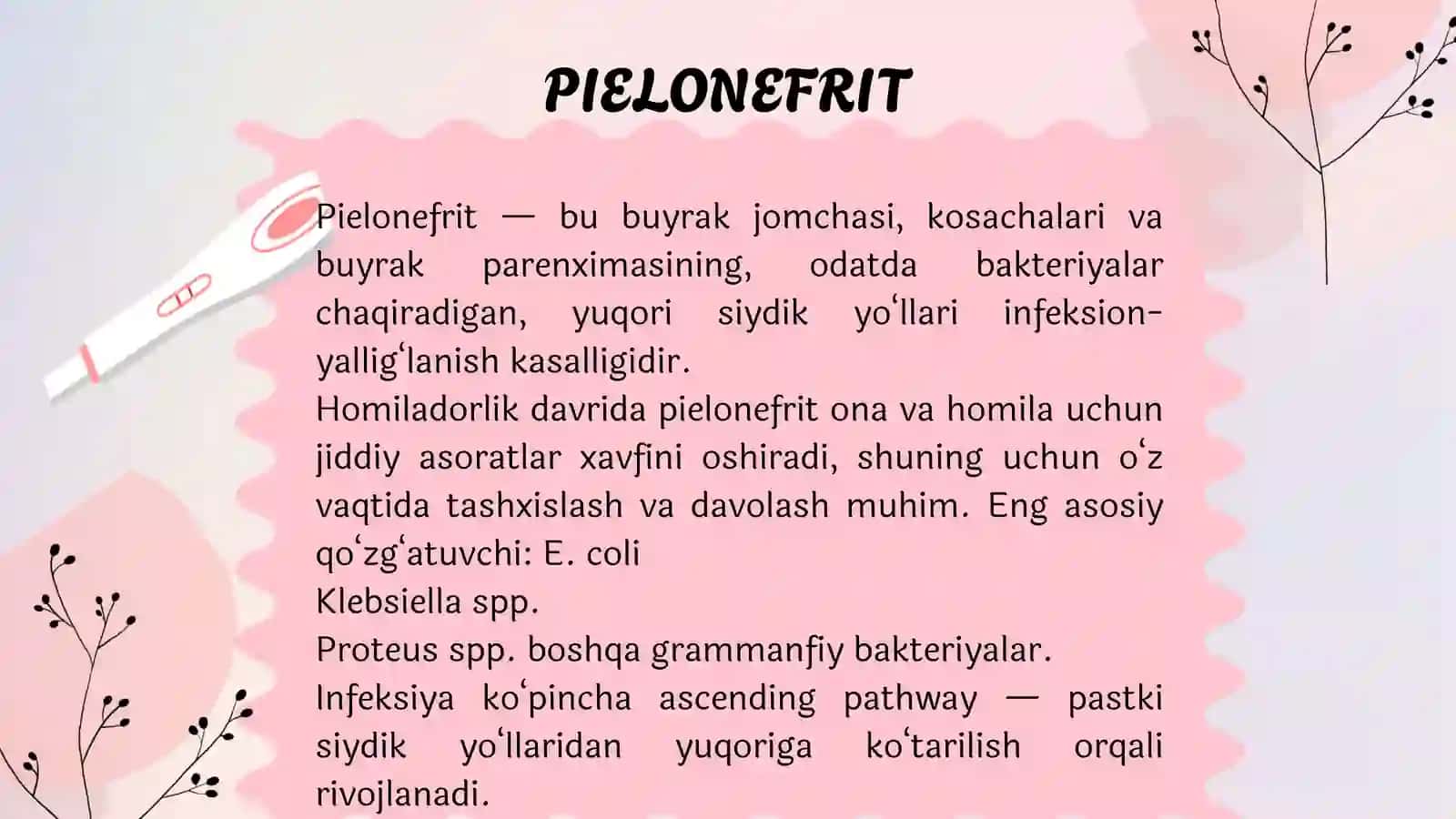 Homiladorlik davrida pielonefrit 2