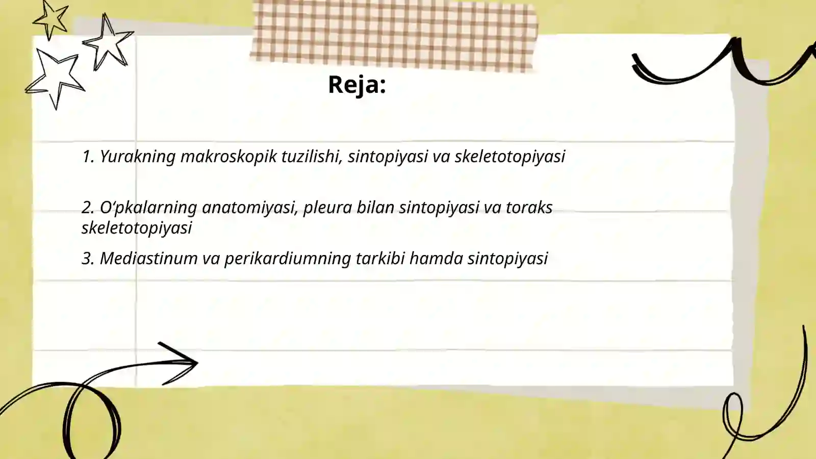 Odam ichki organlar tuzilishi va ularning sintopiyasi, skeletotopiyasi 2