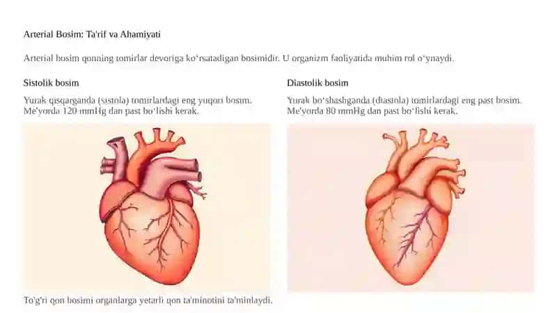 Arterial Bosimni Aniqлашning Fizik Asoslari: Puls To‘lqini 2