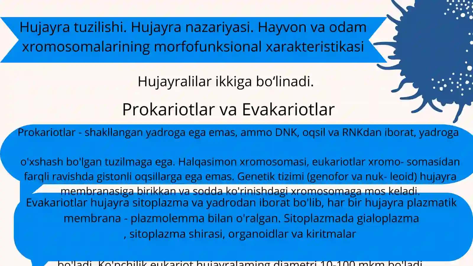 Hujayra tuzulishi. Hujayra nazariyasi. Xayvon va odam xromosomalarining morfofunksional xarakteristi 2