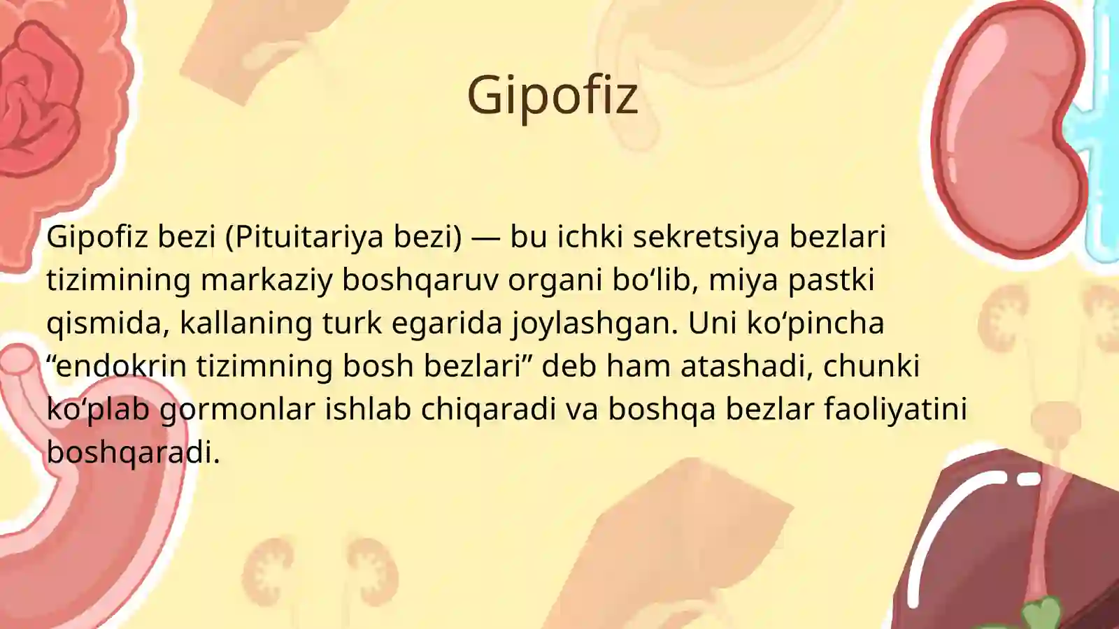 Gipofiz va epifiz 2