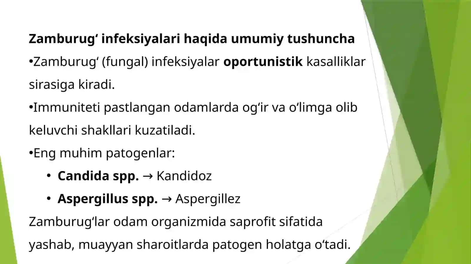 Zamburug'infeksiyalari(kandidoz,aspergilez) 2