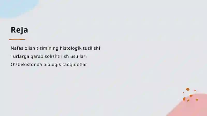 Nafas olish tizimi a'zolarining qiyosiy gistologik tavsifi 2