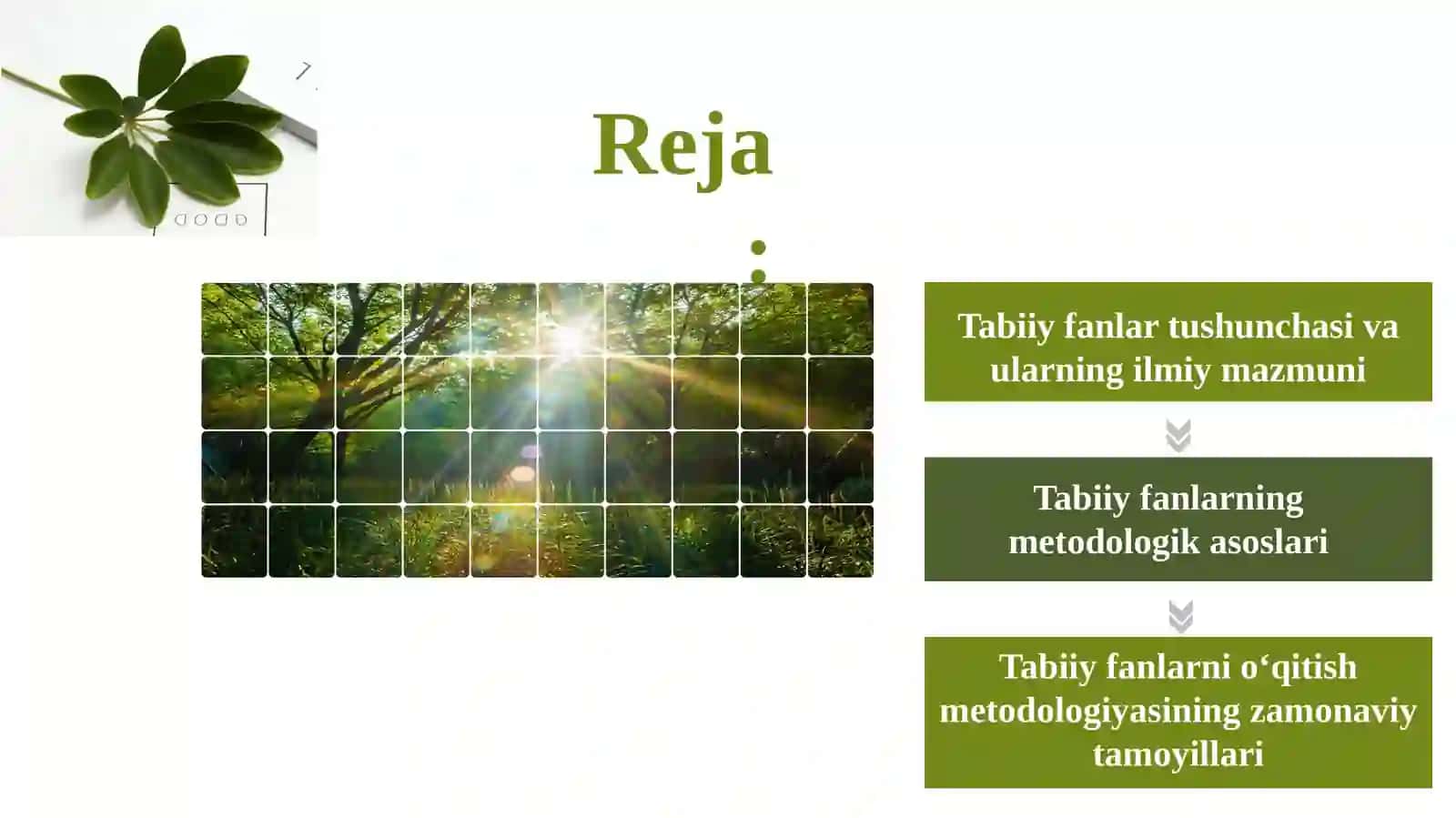 Tabiiy fanning metodologiyasi 2