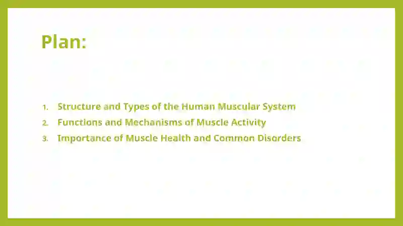 Muscular System of a Human Being 2