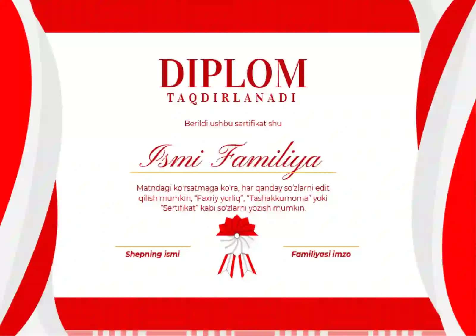 DIPLOM 2