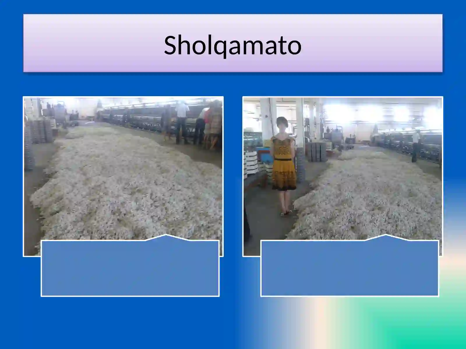 Sholqamato 2