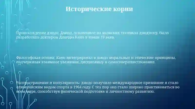 Дзюдо 2