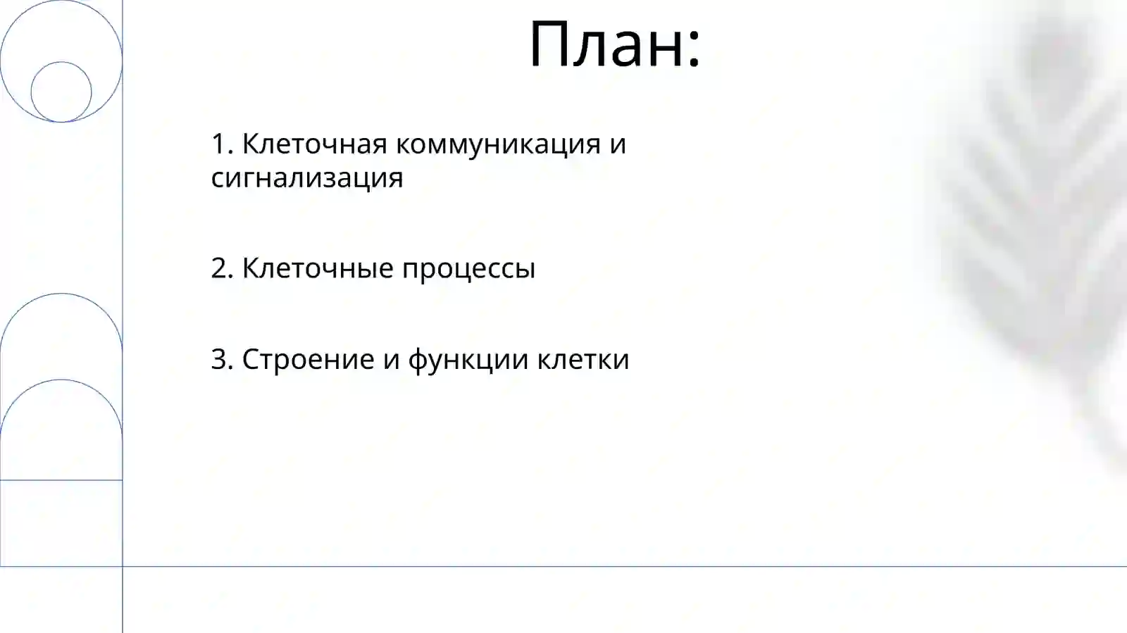 Клетка 2