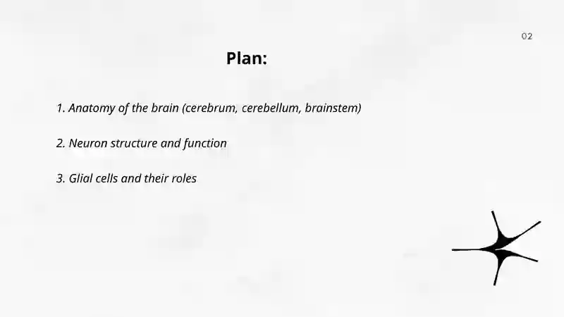 Braind and a nervous system 2