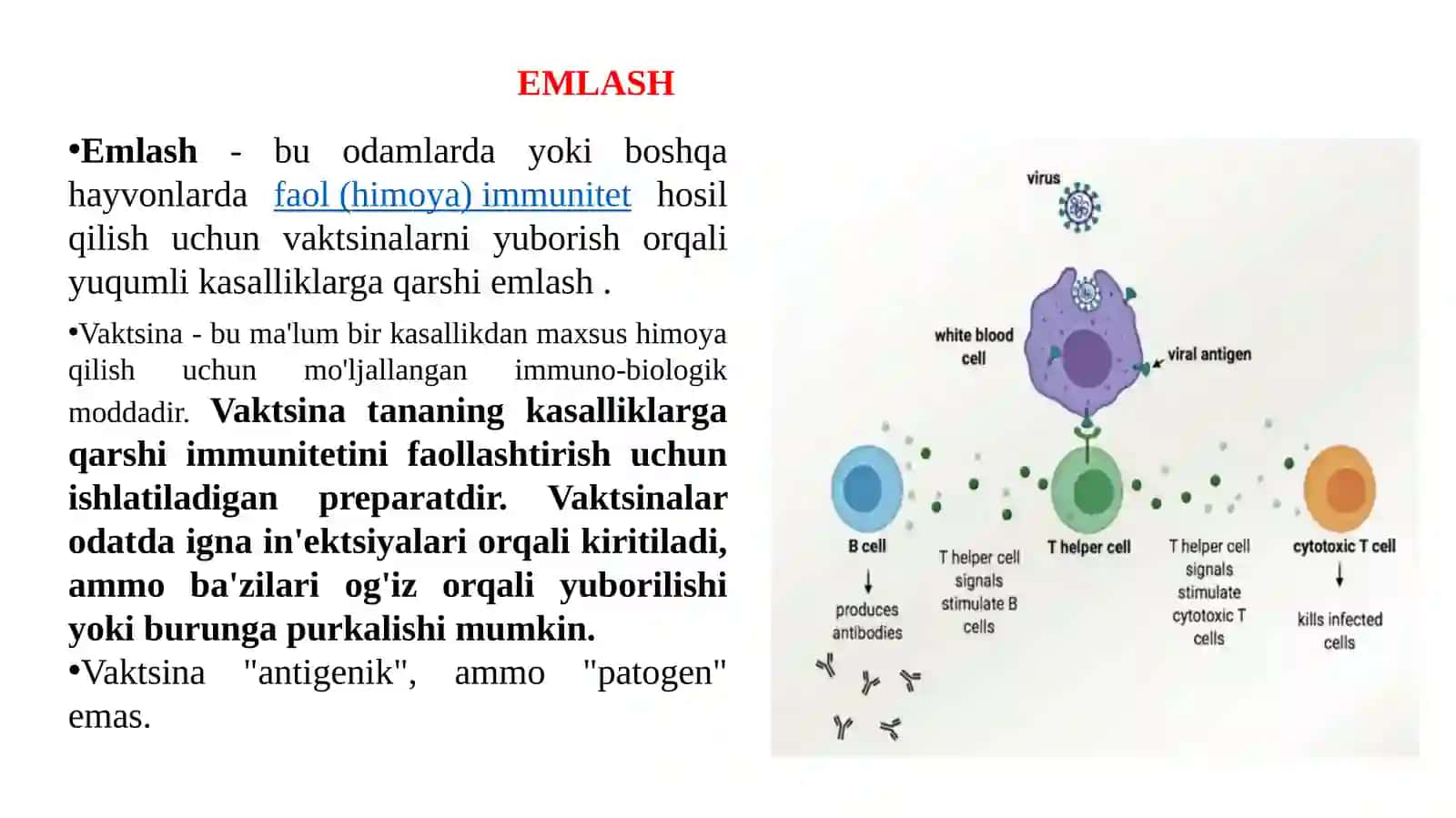 VAKSINALAR VA IMMUN ZARDOBLAR, ULARNING TURLARI, OLINISHI, TIBBIYOT AMALIYOTIDA QO’LLANILISHI 2