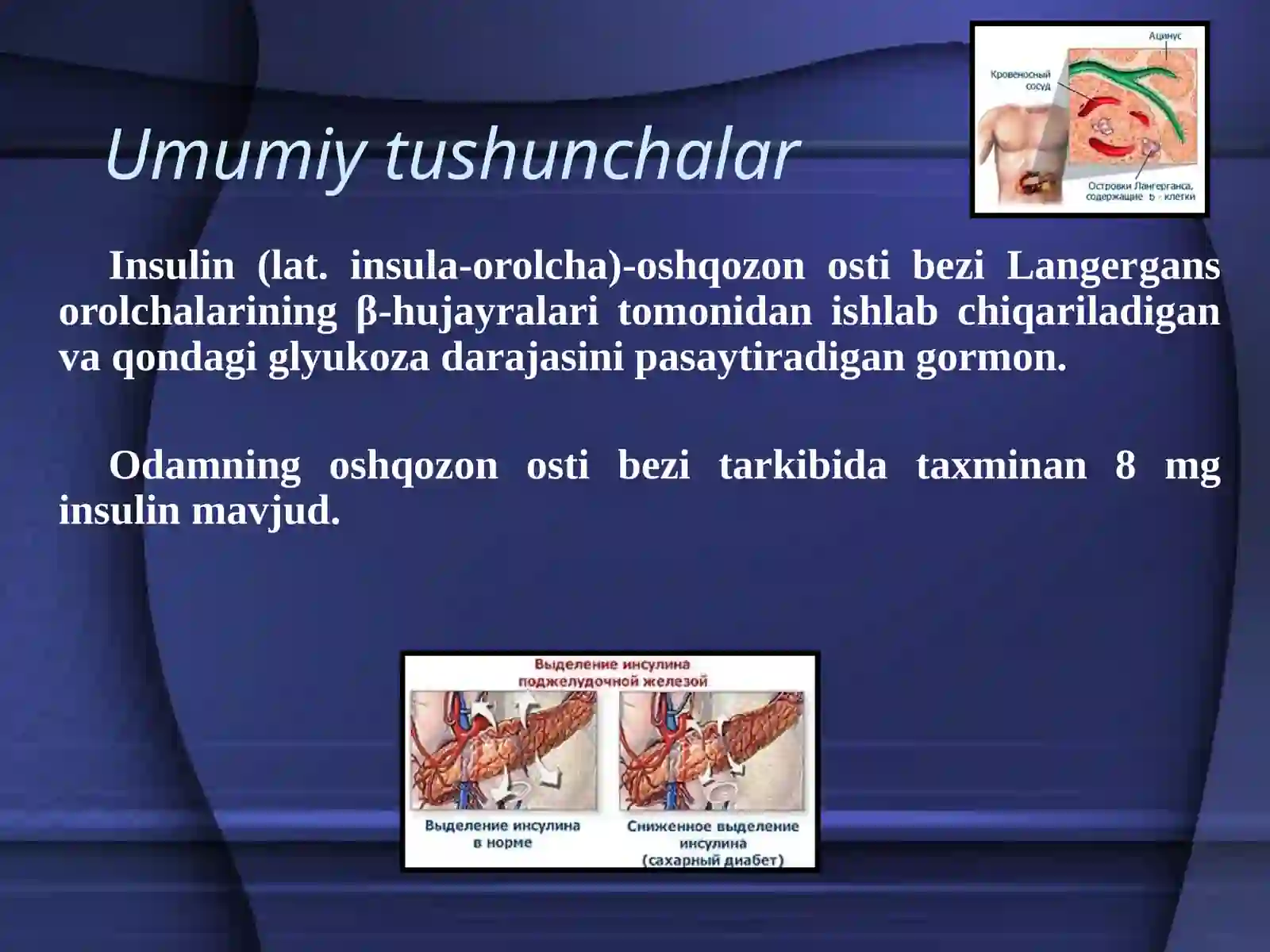 Insulin 2