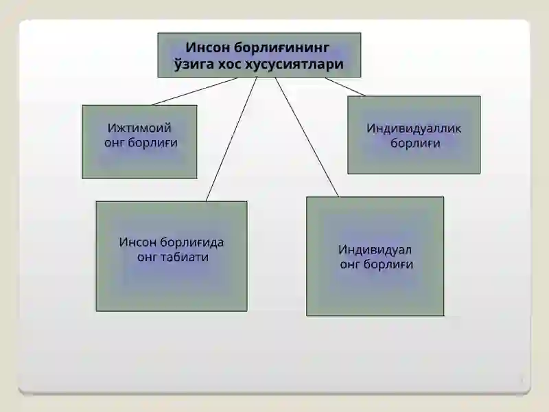 Инсон борлиғи 2