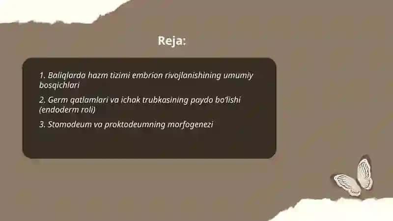 Baliqlarda hazm tizimining embrion rivojlanishi 2